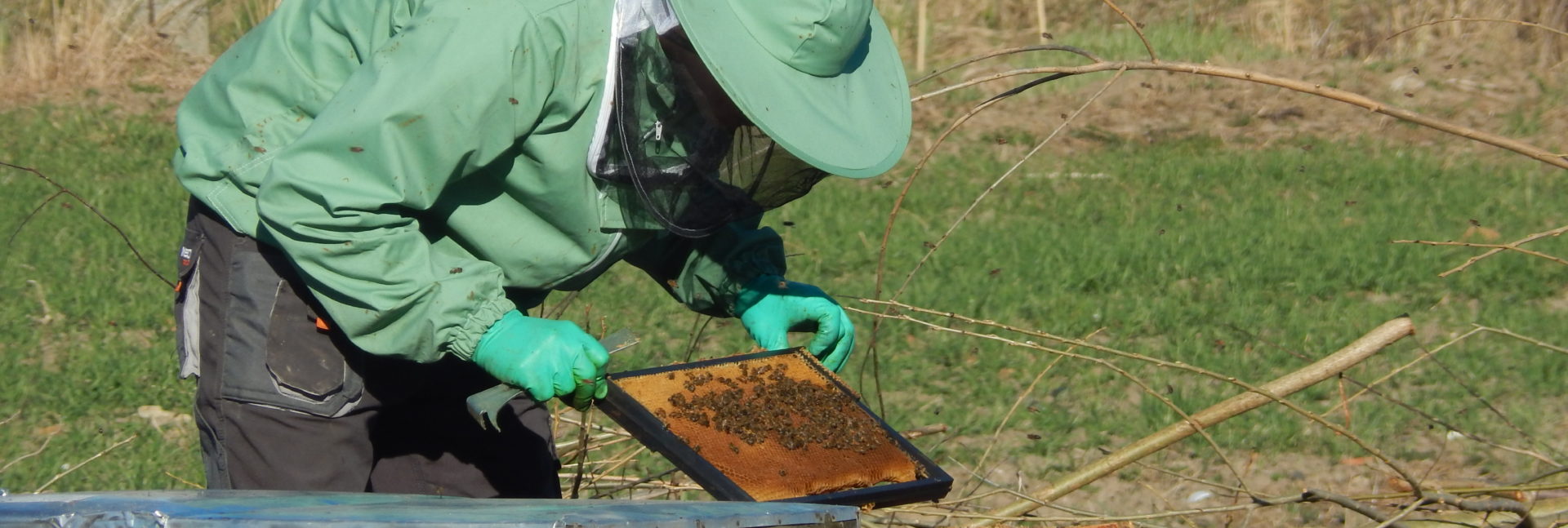 Targi pszczelarskie w Karczowiskach, gratka dla pszczelarzy