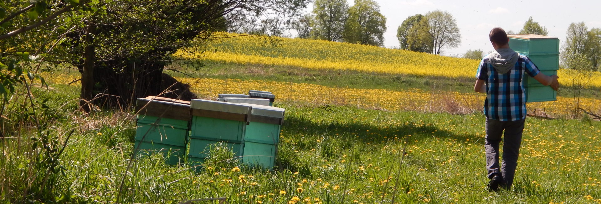 Tag: pszczelarstwo