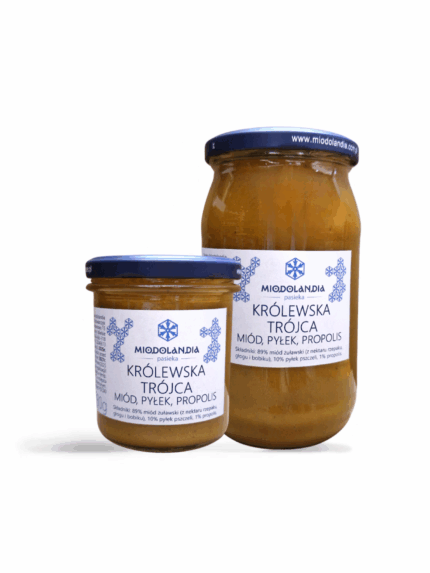 Królewska Trójca - Miód, Pyłek, Propolis