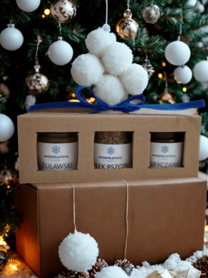 Mała walizka z mini miodkami