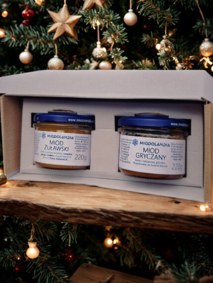 HoneyBox S (warianty)